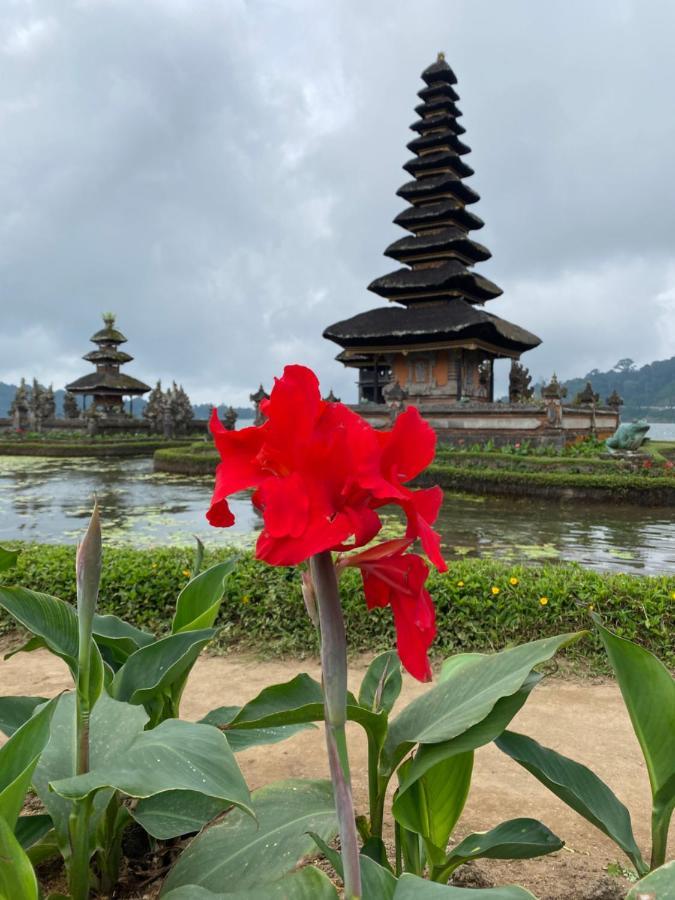 Wina Ubud B&B Dış mekan fotoğraf