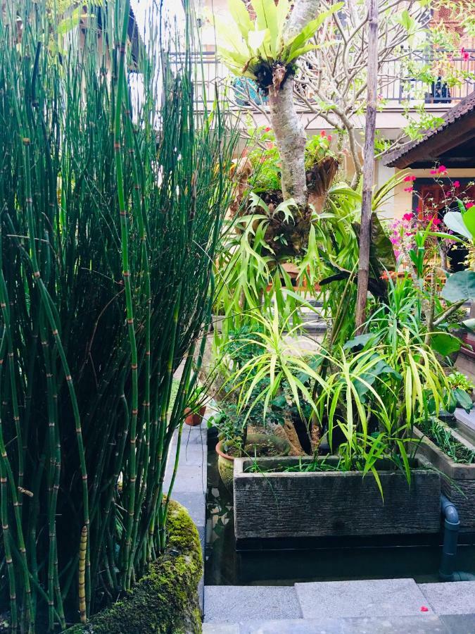 Wina Ubud B&B Dış mekan fotoğraf